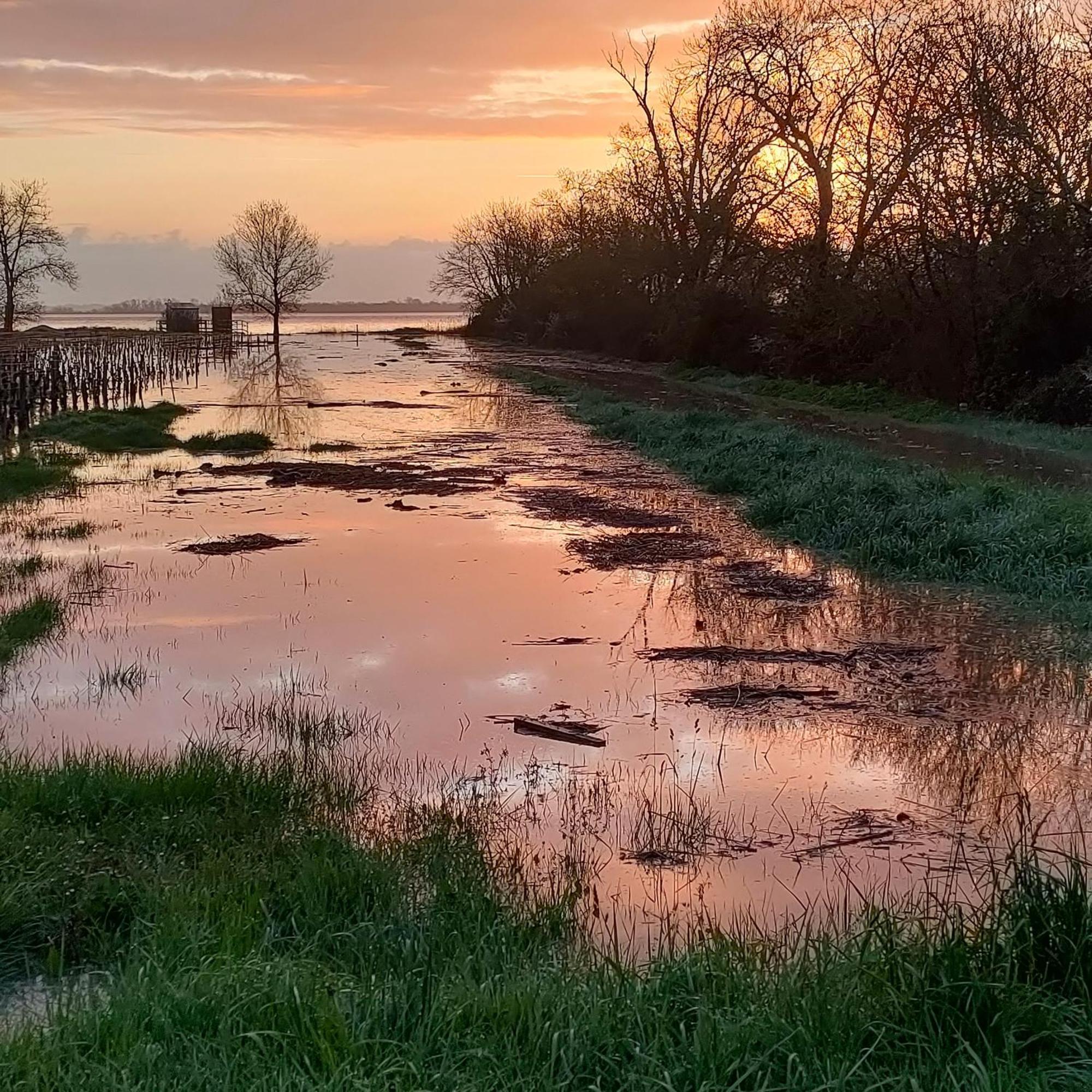 Вилла Casa Tranquila Cerca El Estuario Пойяк Экстерьер фото